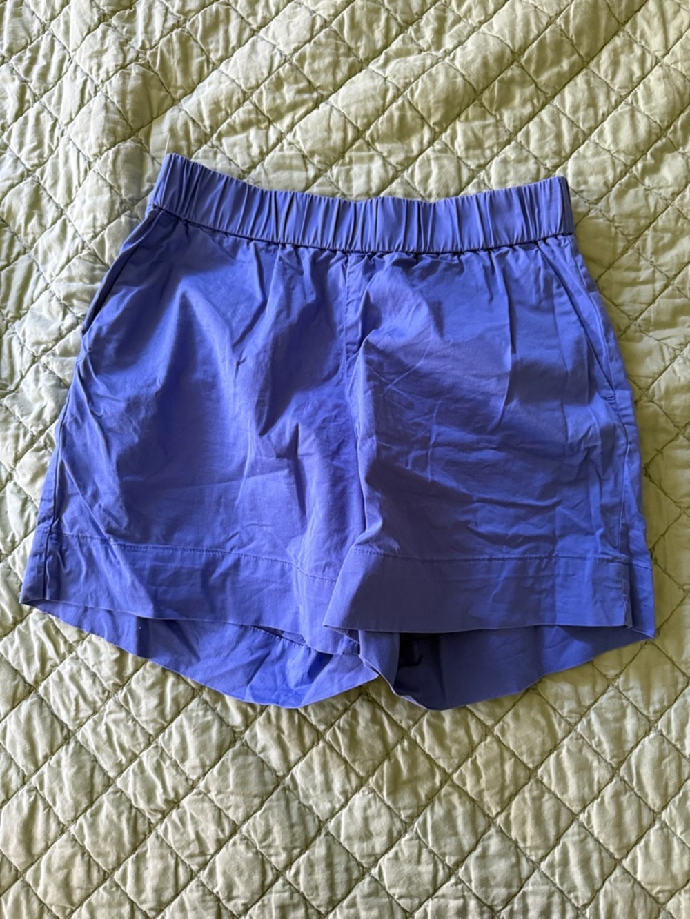 Everlane Light Blue Athletic Shorts with Elastic Waistband 8
